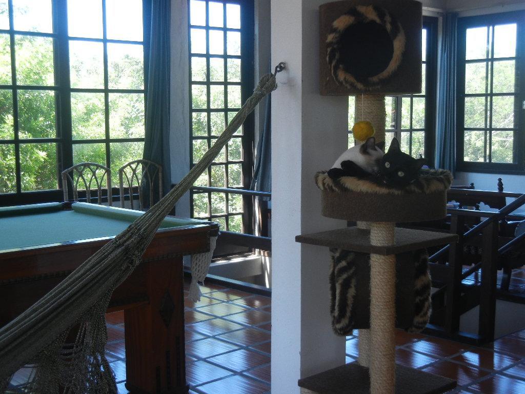 The Cats' House Hotel Florianópolis Eksteriør billede