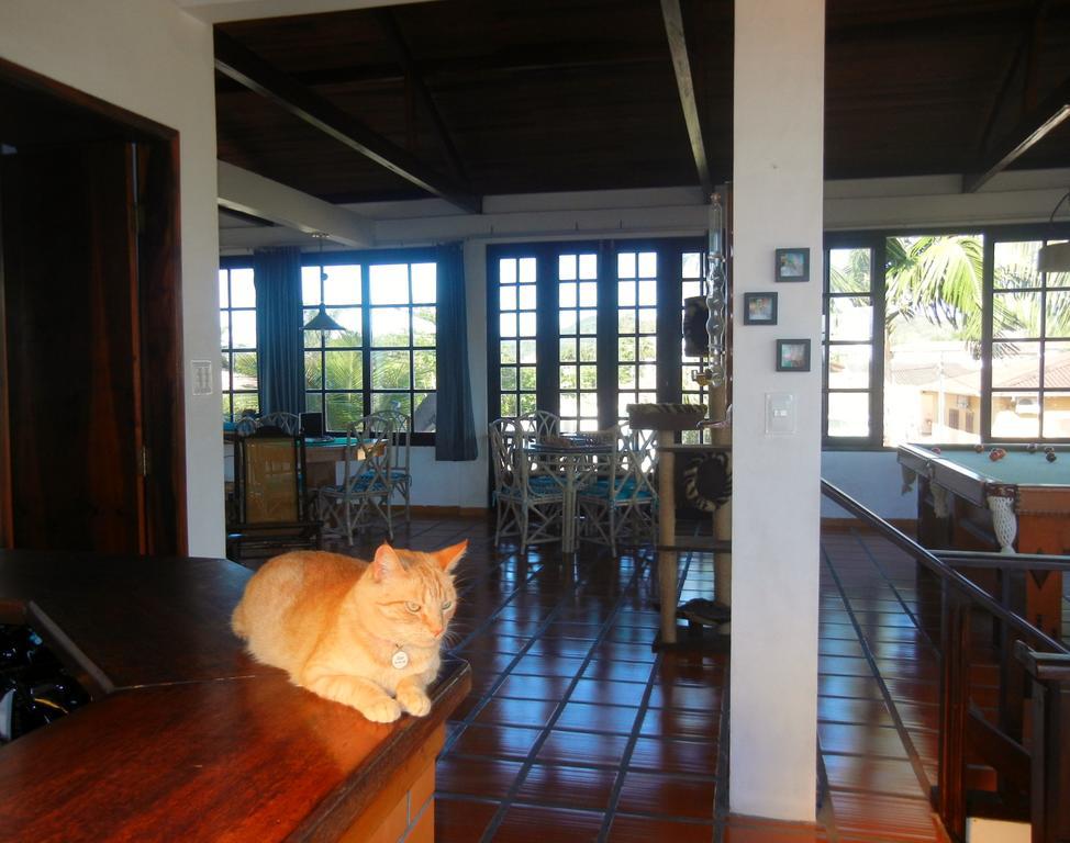 The Cats' House Hotel Florianópolis Eksteriør billede