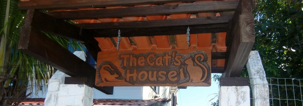 The Cats' House Hotel Florianópolis Eksteriør billede