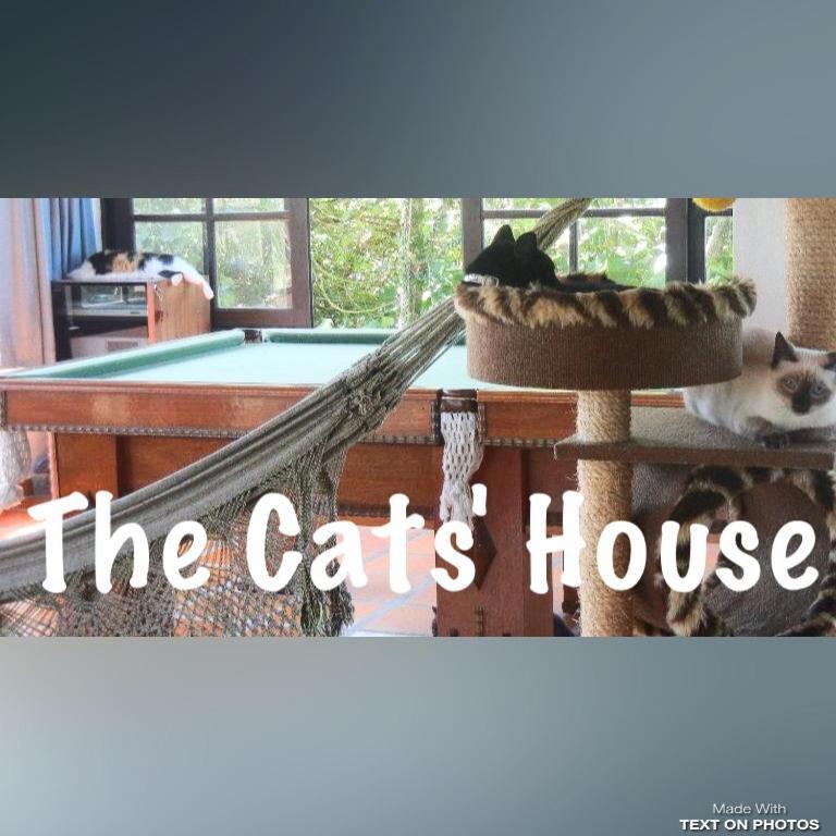 The Cats' House Hotel Florianópolis Eksteriør billede