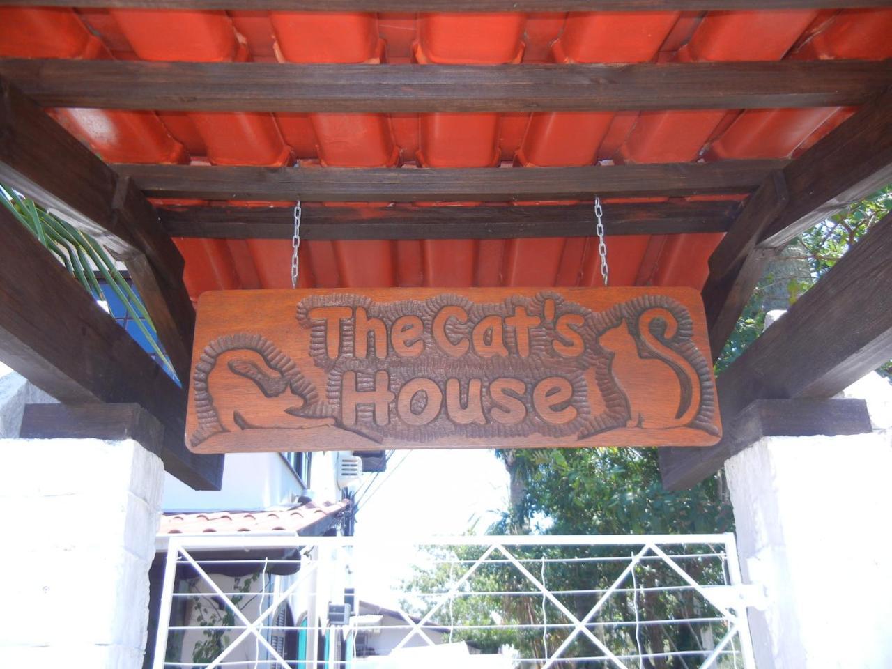 The Cats' House Hotel Florianópolis Eksteriør billede